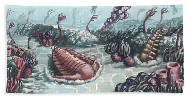Cambrian Period