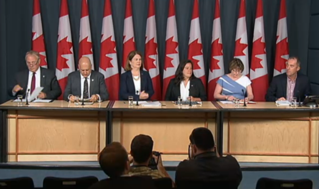 Task Force publishes Report