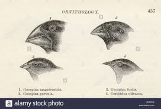 Contribution to Science