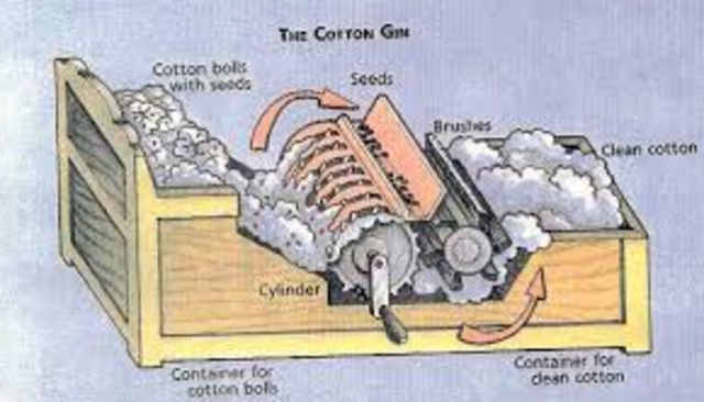 The Cotton Gin