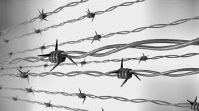 Barbed Wire