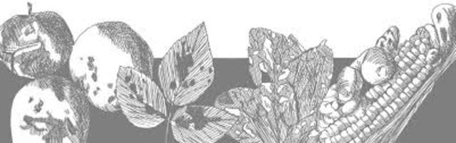 Streptomycin sprays and solutions are used to treat and prevent bacterial plant infections while tetracycline preservatives delayed spoilage in US ﬁsh, shellﬁsh, and poultry