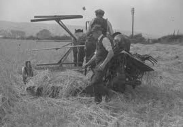 in Britain: AGPs were licensed for use without veterinary prescription