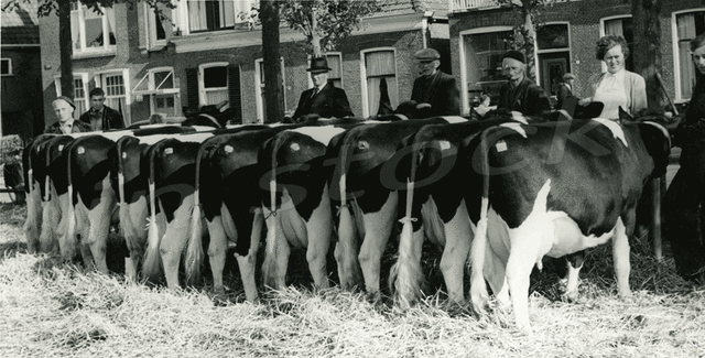 In the Netherlands: AGPs were licensed for use without veterinary prescription