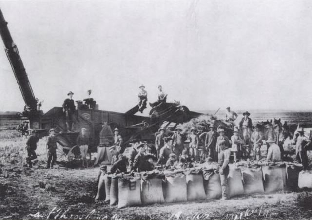 Agricultural antibiotic boom in Japan