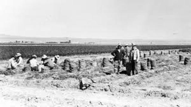 Streptogramin antibiotic blasticidin S. was licensed for use against rice blast disease