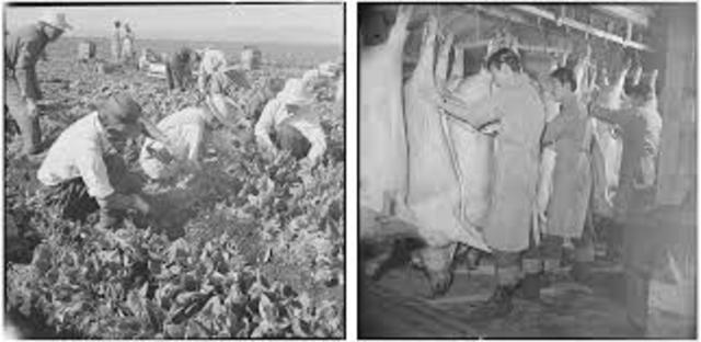 Japan’s annual use of blasticidin S., kasugamycin, polyoxin, validamycin, streptomycin, and chloramphenicol-based plant products totalled over 14,000 tonnes