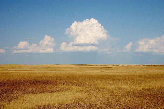Origin of the Prairies