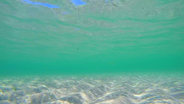 Saskatchewan is covered by a shallow sea