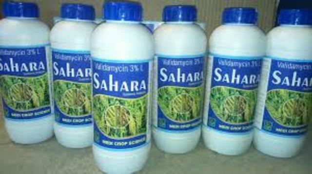 Validamycin was licensed against plant infections