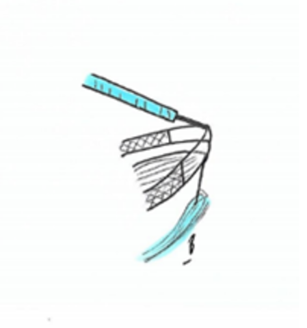 Primera Travessa a Menorca