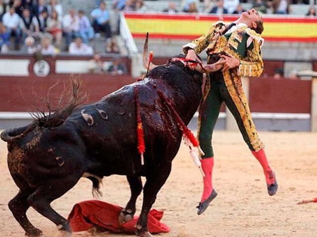 Entre en vigor la prohibició de curses de braus a Catalunya (cultural)
