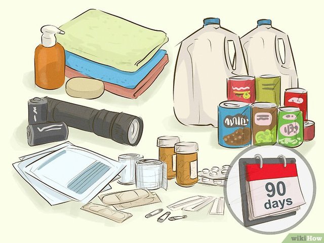 Busquen materials per sobreviure