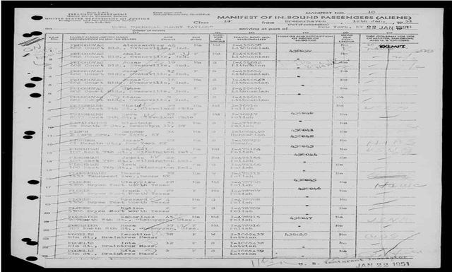 They Immigrate to America