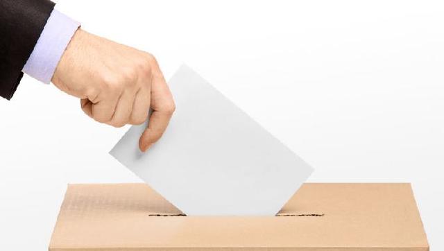 Acompanyo als meus pares a votar (fet polític)