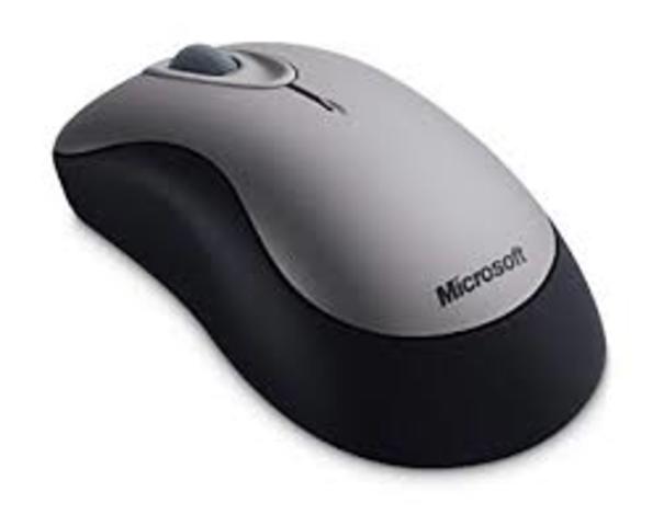 Computer Mouse