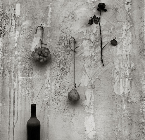 Fotografía de Schommer