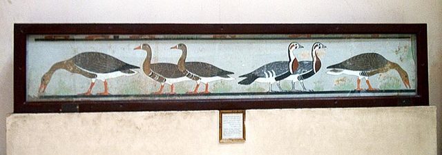 Ocas de Medium en tumba de Nefer Maat y su esposa Atet