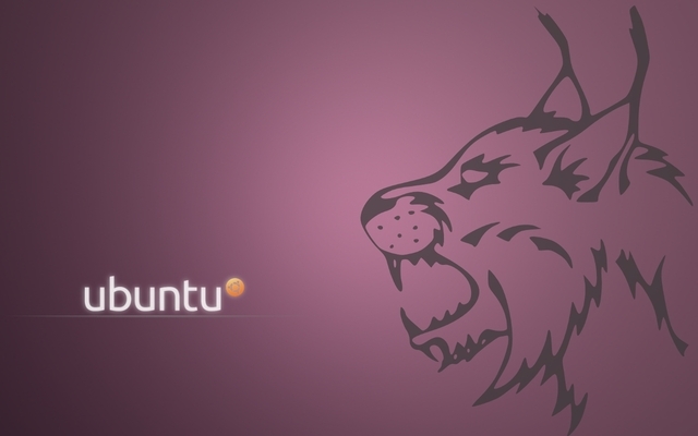 Ubuntu 10.04 "Lucid Lynx"