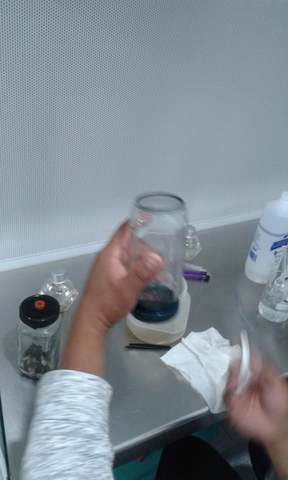 desinfeccion de los explantes ha sembrar