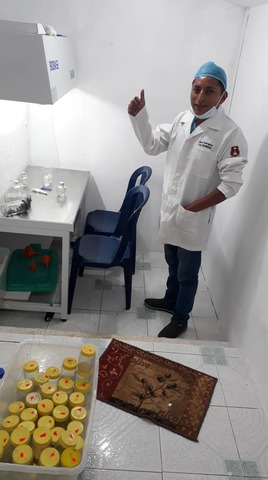 desinfeccion de la camara de flujo laminar y todos los materiales ha utiliazar