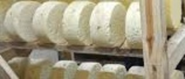 Producción de quesos
