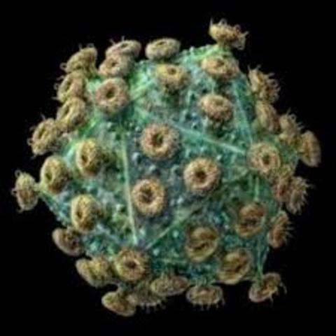 Howard Temin, David Baltimore y Renato Dulbecco.