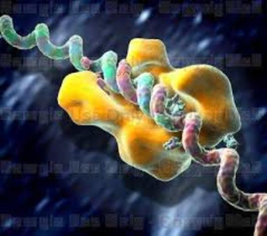 Thomas Brock y Hudson Freeze.