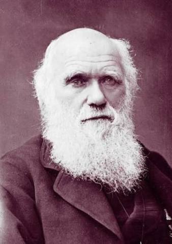 Charles Robert Darwin