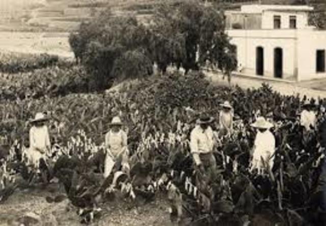 CRISIS ECONOMICA DE CANARIAS