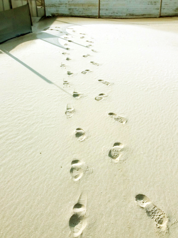 Part-time / Full-time