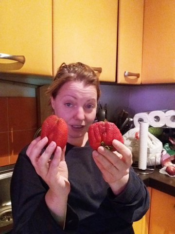 Fragolina e Fragolone