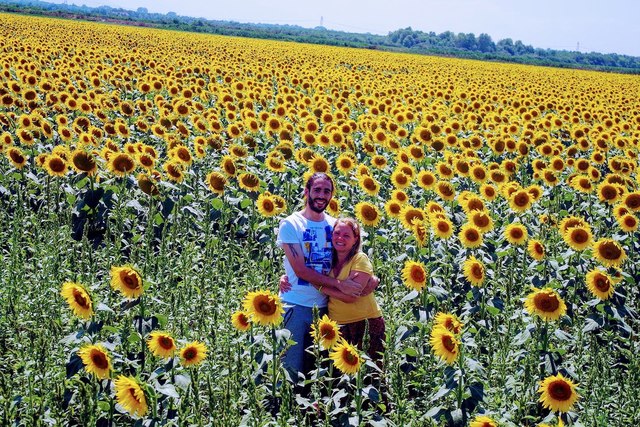 Noi tra i girasoli