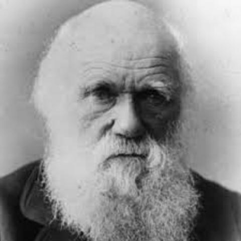 Charles Robert Darwin