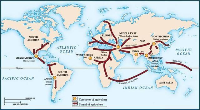Beginnings of Agriculture