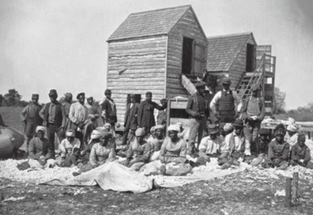 Port Royal Experiment