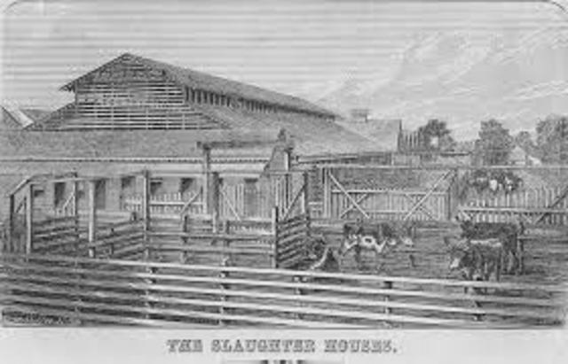 Slaughterhouse Cases (Supreme Court)
