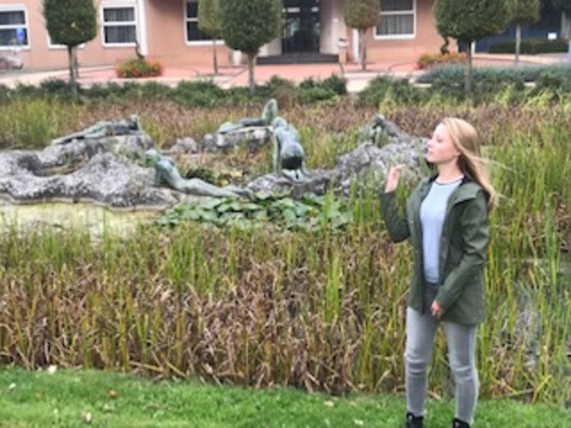 televisie en computer