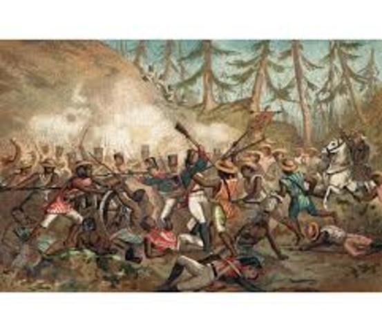 Los insurgentes son derrotados