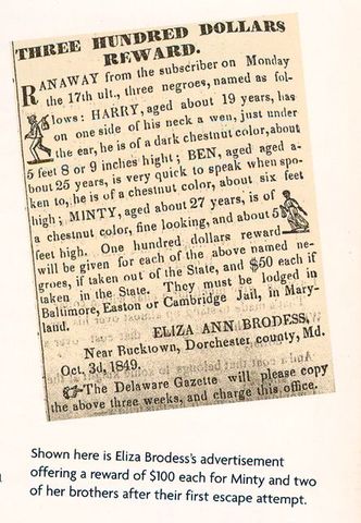 A flyer for runaway Minty