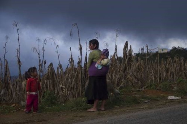 Coordinación General del Plan Nacional de Zonas Deprimidas y Grupos Marginados (COPLAMAR) 1976 a 1982