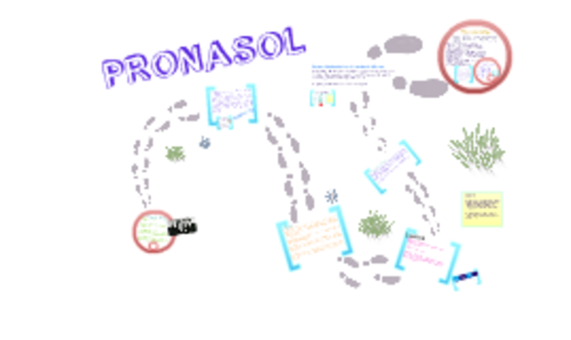 Programa Nacional de Solidaridad (PRONASOL), 1988-1994