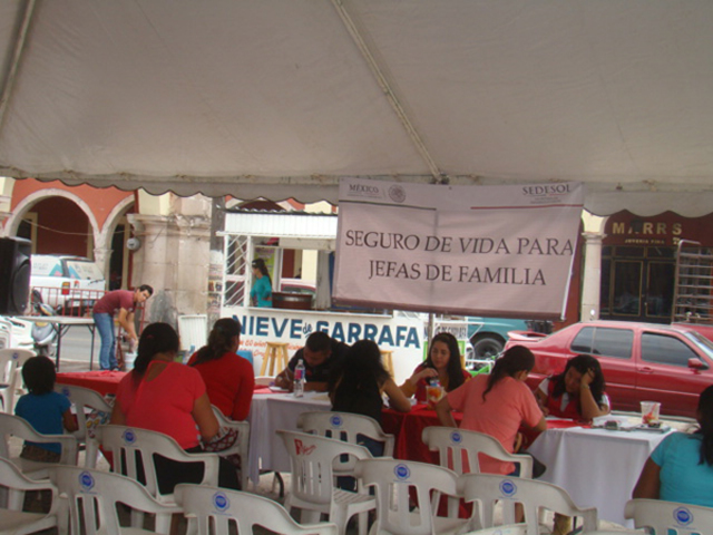 Programa Seguro de vida Para Jefas de familia