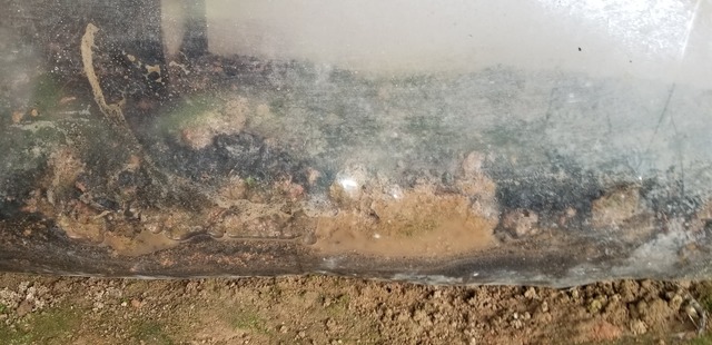 Revisión del nivel de agua de la cama de sub-irrigacion