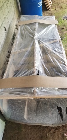 Revisión del avance del proyecto.