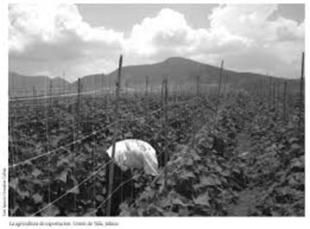 Sistema Alimentario Mexicano (SAM)