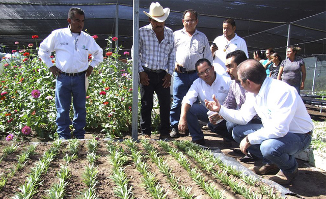 Programa de Opciones Productivas