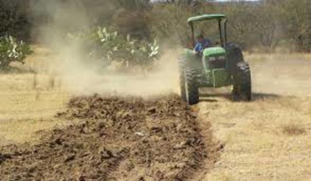 Programa de Apoyos Directos al Campo (PROCAMPO)