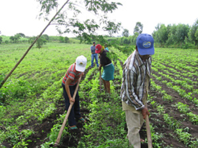 Programa integral para el desarrollo rural PIDER