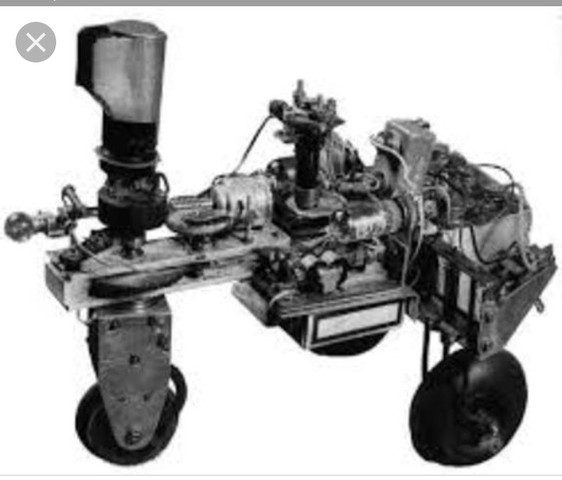 Tortue cybernétique